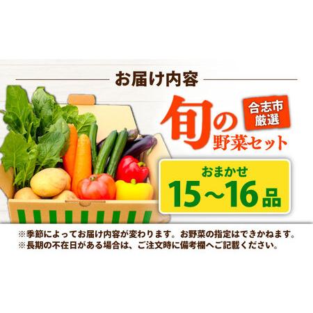 ふるさと納税 合志の旬のお野菜セット 15品から16品  野菜[AYAB112] 熊本県合志市_4