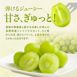 ふるさと納税 氷温貯蔵 長野県産 シャインマスカット 約2kg 秀品 〈2026年11月上旬〜12月下旬発送〉| 長野県 飯田市 長野県飯田市の画像