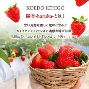 ふるさと納税  ＠FARM　いちごのパウンドケーキ2個セット 埼玉県川越市_2