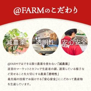 ふるさと納税  ＠FARM　いちごのパウンドケーキ2個セット 埼玉県川越市_3