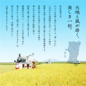 ふるさと納税 【3ヶ月定期便】玄米 令和7年産 あきたこまち 10kg 玄米 秋田県潟上市の画像