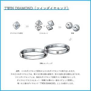 ふるさと納税 【2本セット】ツインダイヤモンドのペアリング｜シルバー925｜シルバーリング｜TDR-001・TDR-002 新潟県見附市_1