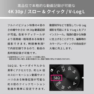 ふるさと納税 パナソニック デジタルカメラ ルミックス DC-G99M2H カメラ 大阪府門真市_2