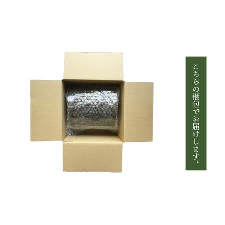ふるさと納税 【 ハンドメイド 】 竹細工 トイレットペーパー 入れ大（縦） 虎竹 丈夫 防カビ 若鮎クラフト 工芸品 工芸 日用品 雑貨 インテリ.. 高知県四万十市_4