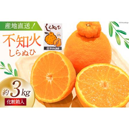 大人気新品 宮崎県日向市 みかん レモン 柑橘類 ふるさと納税 先行予約 たけちゃん農園直送 じゅわーっと甘い不知火約3kg ハウス栽培 化粧箱入り 10 74 宮崎県日向市 フルーツ Postetelecom Gouv Cg