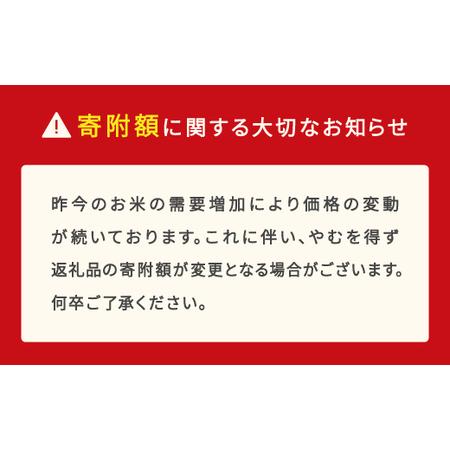 ふるさと納税 令和7年産 はえぬき 玄米 20kg mk-haxxa20-g 山形県村山市_1
