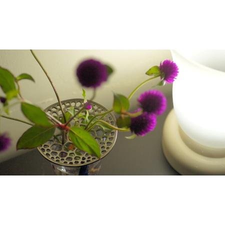 ふるさと納税 自然をモチーフとしたステンレス鋳物花器「あやめの茎 stalk of ayame」_F032 山形県長井市の画像