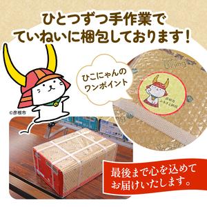 ふるさと納税 キリンビール 弾機排球 地絹金切り声 500ml×24缶 9ヶ月 定期便 キリンビール キリンビール キリンビール キリンビー.. 滋賀県彦根市