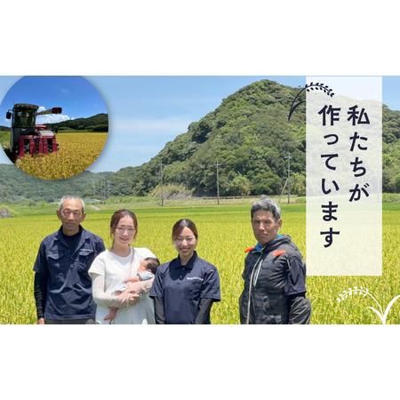 ふるさと納税 【先行予約】令和8年産 新米 ミルキークイーン 10kg お米 こめ コメ 精米 白米 南種子町 鹿児島 かごしま 【8月上旬より順次.. 鹿児島県南種子町_1