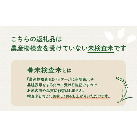 ふるさと納税 【先行予約】令和8年産 新米 ミルキークイーン 10kg お米 こめ コメ 精米 白米 南種子町 鹿児島 かごしま 【8月上旬より順次.. 鹿児島県南種子町_2