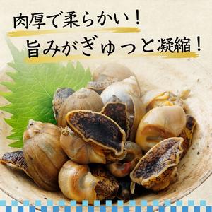 ふるさと納税 陸奥湾産　アワビつぶ(おでんつぶ) 青森県むつ市_1