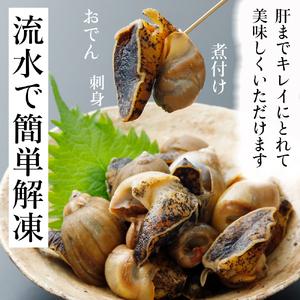 ふるさと納税 陸奥湾産　アワビつぶ(おでんつぶ) 青森県むつ市_2
