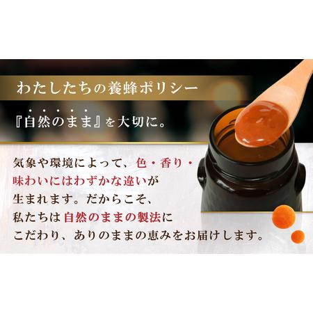 ふるさと納税 マヌカハニー MGO220＋ 250g インカナムマヌカハニー・T126 愛知県西尾市_2
