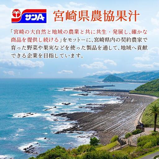 ふるさと納税 【定期便 6か月】 霧島山麓の生まれながら水 590ml×24本入 6回 サンＡ 砿物お水 飲み料水 常温保護すること 宮崎 宮崎県