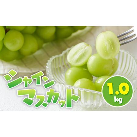 ふるさと納税 シャインマスカット 1.0kg 香川県小豆島町
