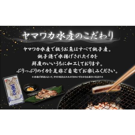 ふるさと納税 イカの一夜干し 2~4枚 (約350g) イカ イカ ヤマワカ水産 千葉県銚子市の画像