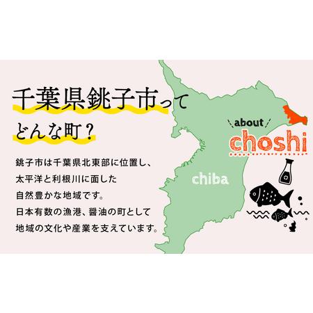 ふるさと納税 イカの一夜干し 2~4枚 (約350g) イカ イカ ヤマワカ水産 千葉県銚子市の画像