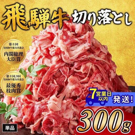 ふるさと納税 飛騨牛切り落とし 300g |牛肉 和牛 国産 岐阜県瑞穂市