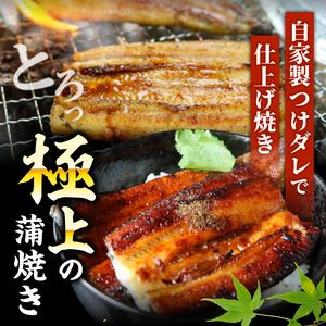 ふるさと納税 【贈答用】【4回定期便】極上国産うなぎ四万十桜 白焼き約140g×3尾 | うなぎ 鰻 ウナギ 白焼き 定期便 国産 四万十鰻 ウナギ .. 高知県南国市_2