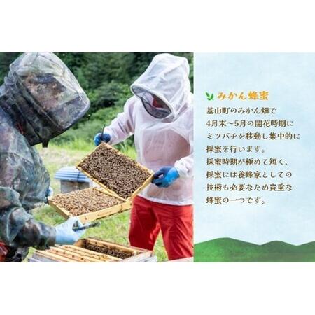 ふるさと納税 みよしのみつ(百花蜜・みかん・もちの木)220g×3本 K063028 佐賀県基山町の画像