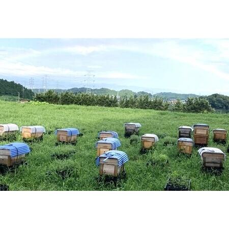 ふるさと納税 みよしのみつ(百花蜜・みかん・もちの木)220g×3本 K063028 佐賀県基山町の画像