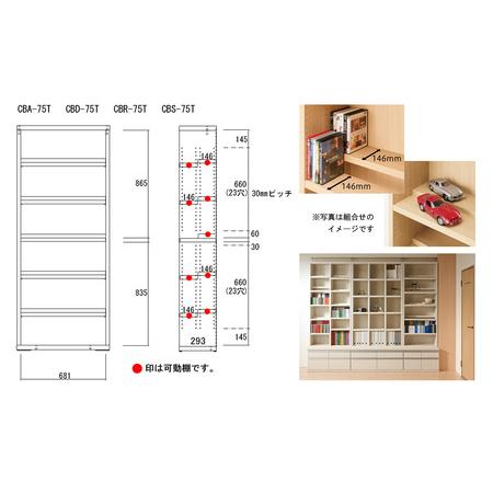 ふるさと納税 【キャナルオーク】コミックシェルフ CBC-75T（W743 D297 H1800粍）【46-6【6】】 岐阜県下呂市