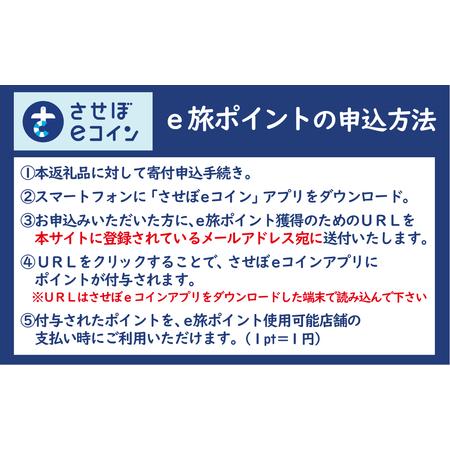 ふるさと納税 【佐世保観光で使えるポイント】させぼe旅ポイント21,000円分 観光 地域通貨 電子決済 飲食 宿泊 体験 電子通貨 ハウステンボス .. 長崎県佐世保市の画像