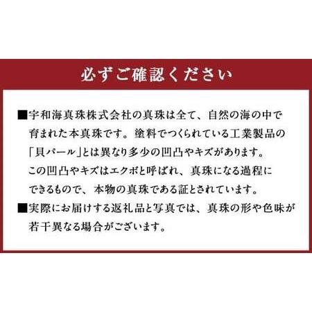 ふるさと納税 真珠 フープピアス 8.5〜9.0mm 大珠 シルバー パール アクセサリー （859-1） 愛媛県_4