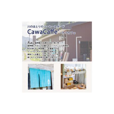 ふるさと納税 ねこの形が可愛らしい！猫天道様の西洋菓子缶 6缶仕かける（3種×2缶）フローズンケーキ【0610501】 宮城県丸森町