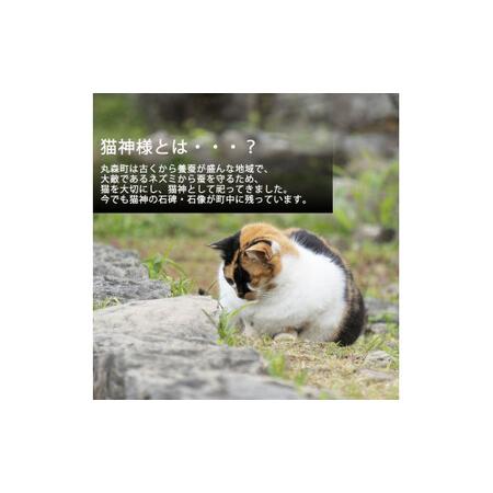 ふるさと納税 ねこの形が可愛らしい！猫天道様の西洋菓子缶 6缶仕かける（3種×2缶）フローズンケーキ【0610501】 宮城県丸森町