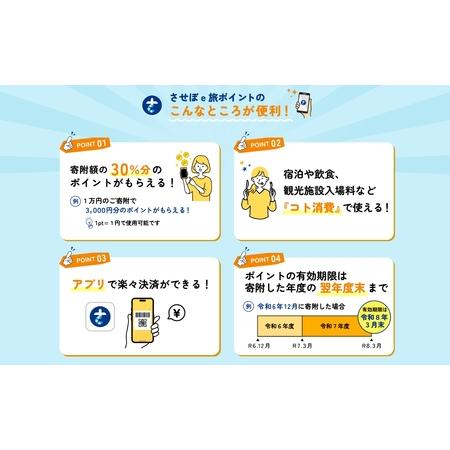 ふるさと納税 【 佐世保観光 トラベルポイント 】させぼe旅ポイント 27000円 トラベル 長崎県佐世保市_1