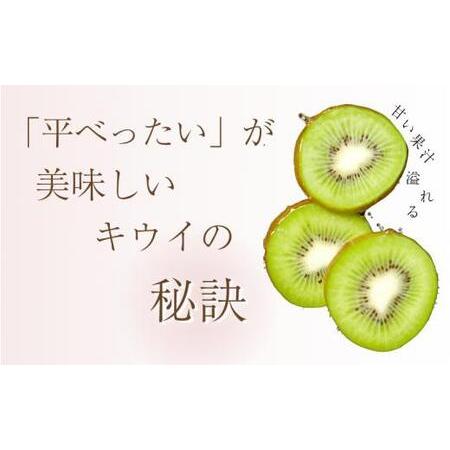 ふるさと納税 わけあり キウイ 5kg＋250g（傷み補償分）扁平果 / 和歌山 家庭用 フルーツ 果物 くだもの ※2026年11月中旬より2027年4月下旬.. 和歌山県紀美野町_1