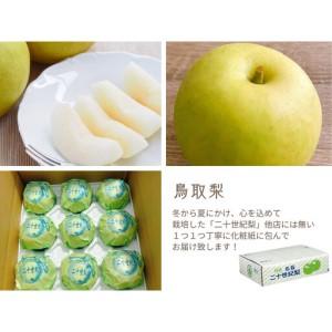ふるさと納税 数量限定 鳥取県産 梨 訳あり ご自宅用 二十世紀梨 5kg 鳥取県琴浦町_4