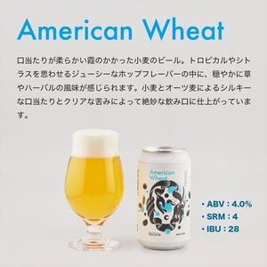 ふるさと納税 【定期便12カ月】サスティナブル・クラフトビール　飲み比べ3種　6本セット お酒 クラフトビール ギフト おうち時間 グランピ.. 神奈川県海老名市_1