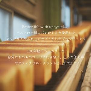ふるさと納税 【定期便12カ月】サスティナブル・クラフトビール　飲み比べ3種　6本セット お酒 クラフトビール ギフト おうち時間 グランピ.. 神奈川県海老名市_4