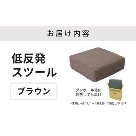 ふるさと納税 【ブラウン】低反発スツール ニーノ ／ ゆったり デザイン マットレス オットマン [aw055-a011_02] 福井県あわら市の画像