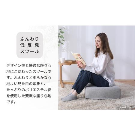 ふるさと納税 【ベージュ】低反発スツール ニーノ ／ ゆったり デザイン マットレス オットマン [aw055-a011_04] 福井県あわら市の画像