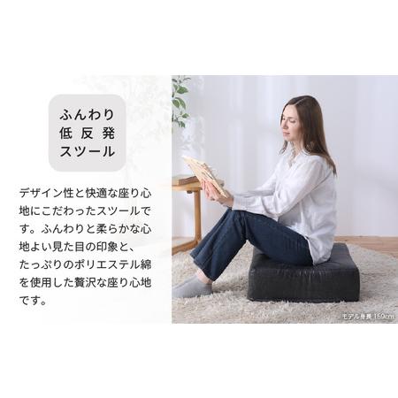ふるさと納税 【ブラック】低反発スツール  ヴァーサ ／ ゆったり デザイン マットレス オットマン [aw055-a012_01] 福井県あわら市の画像