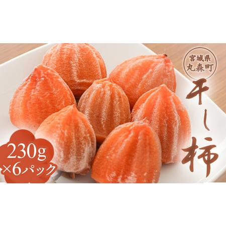 ふるさと納税 宮城県丸森町産 干し柿 230g×6パック[45001] 宮城県丸森町