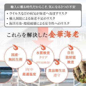 ふるさと納税 岐阜県池田町産 金華海老 250g×4パック 計1kg 海老 エビ えび 【配送不可：離島】 岐阜県池田町_3