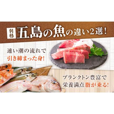 ふるさと納税 【6回定期便】【超速冷凍】旬魚のゴトポキ5袋 五島市/金沢鮮魚[PEP027]セット 長崎県五島市の画像