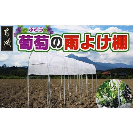 ふるさと納税 葡萄の雨よけ棚セット_55-J405_(都城市) 葡萄の雨よけ棚セット ぶどう専用雨よけ棚セット 南榮工業 家庭菜園サイズ 簡単組立・設置.. 宮崎県都城市