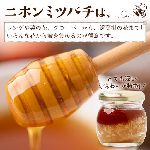 ふるさと納税 はちみつ 蜂蜜 3種 セット（100g×3個）31 Honey《数量