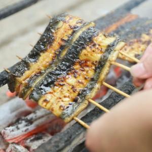 ふるさと納税 【12か月定期便】ウナギ上蒲焼1串(100g前後)【老舗 差し上げ物 凝結 ウナギ 鰻 鰻 かばやき 串 タレ 山椒 千葉県 市川市】【12203-.. 千葉県市川市