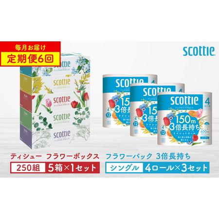 ふるさと納税 [定期便6回][毎月お届け][スコッティ] 組み合わせ ティシュー フラワーボックス 250組 5箱 計30箱 トイレットロール シング.. 熊本県八代市