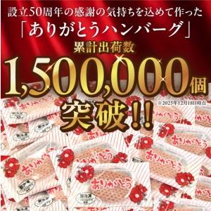 ふるさと納税 【定期便4回】ありがとうハンバーグ(90g×18個) 定期便 北海道産牛100% ｜ 冷凍 北海道石狩市   北海道石狩市_1