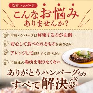 ふるさと納税 【定期便4回】ありがとうハンバーグ(90g×18個) 定期便 北海道産牛100% ｜ 冷凍 北海道石狩市   北海道石狩市_2