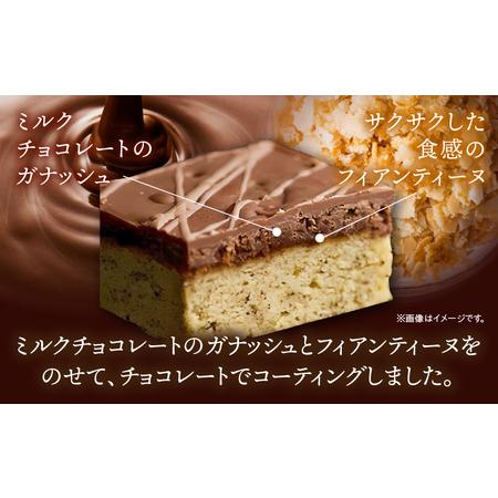 ふるさと納税 プレミオティー　10個入り・D034-18 愛知県西尾市_2