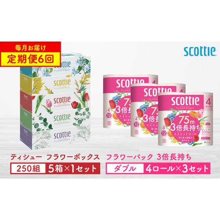 ふるさと納税 [定期便6回][毎月お届け][スコッティ] 組み合わせ ティシュー フラワーボックス 250組 5箱 計30箱 トイレットロール ダブル .. 熊本県八代市