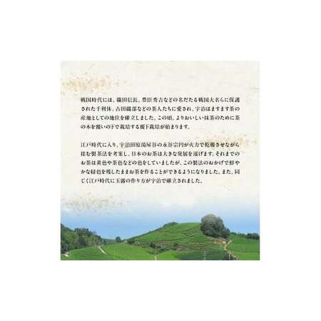ふるさと納税 【3回定期便】宇治茶ペットボトル 500ml×24本 お茶ペットボトル 京都府の画像